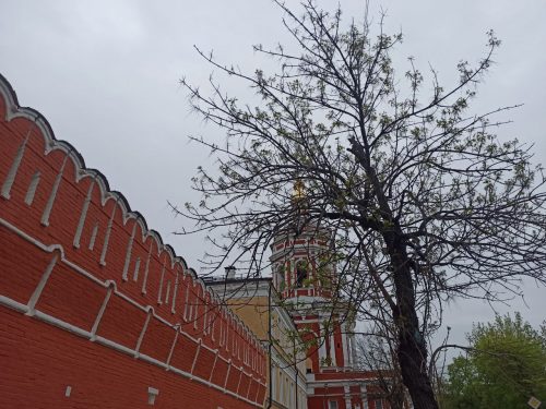 Монастыри Москвы