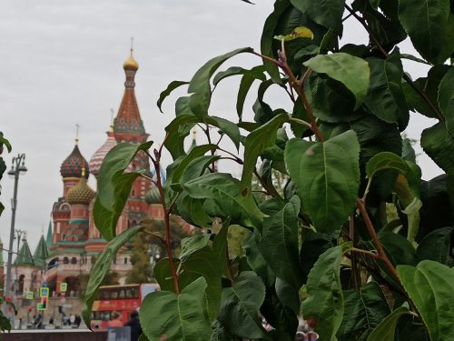 Красная площадь + Территория Кремля или Оружейная палата