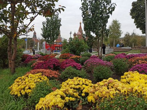 Пешеходная экскурсия Стены и башни Кремля