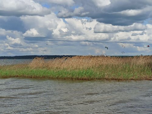 Берендеево царство