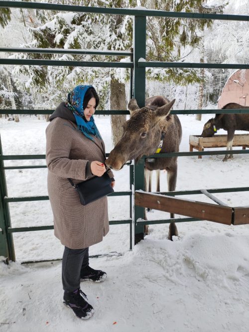 Зима в Ярославле, Нерехте и Костроме на 3 дня