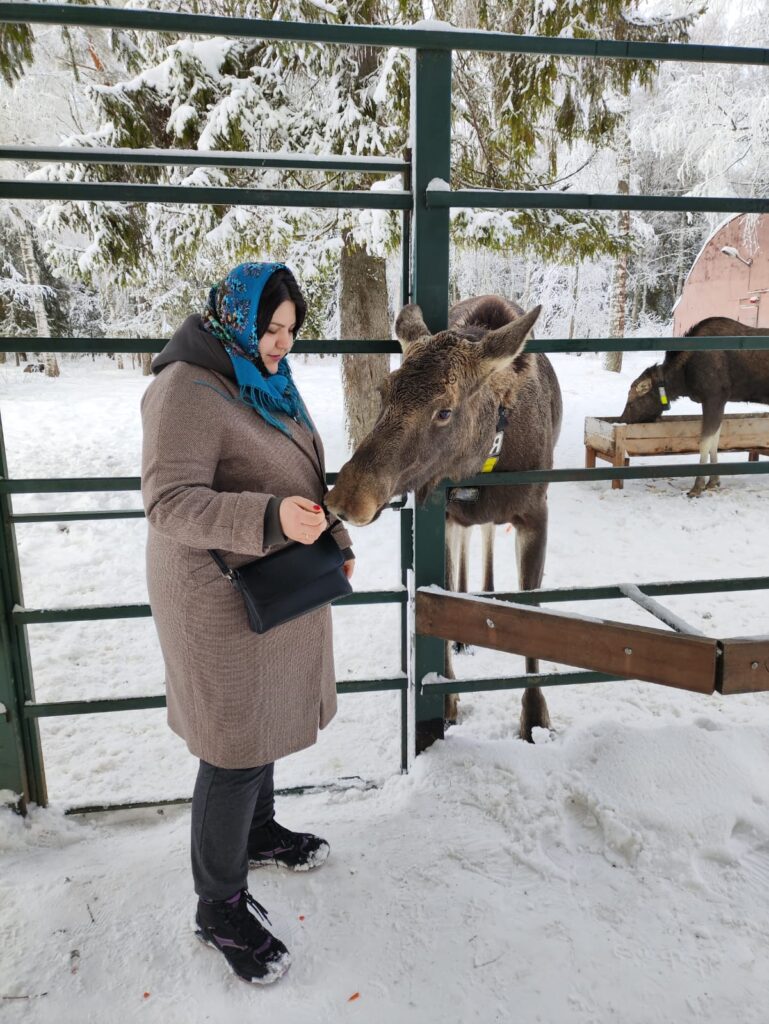 Зимние приключения в Ярославле и Костроме на 2 дня