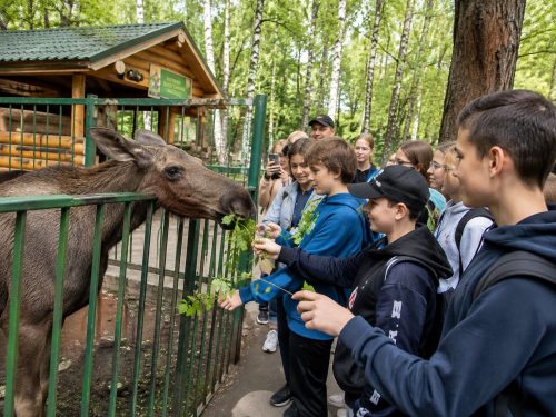 Национальный парк Лосиный остров